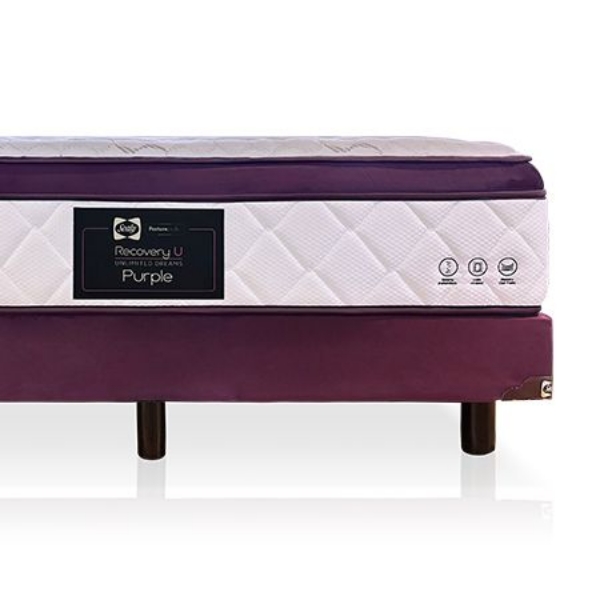 Imagen de Colchón Queen Size + Box Purple